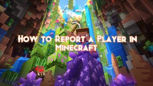 How to Report a Player in Minecraft - Pillar Of Gaming