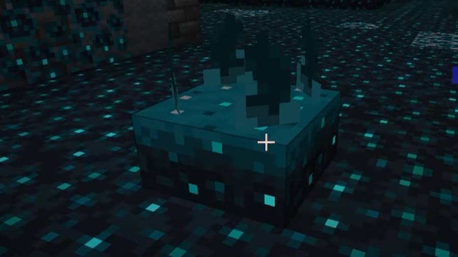 Sculk Sensors