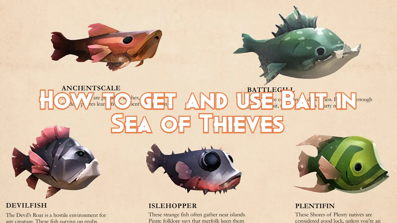 How to get and use Bait in Sea of Thieves Pillar Of Gaming